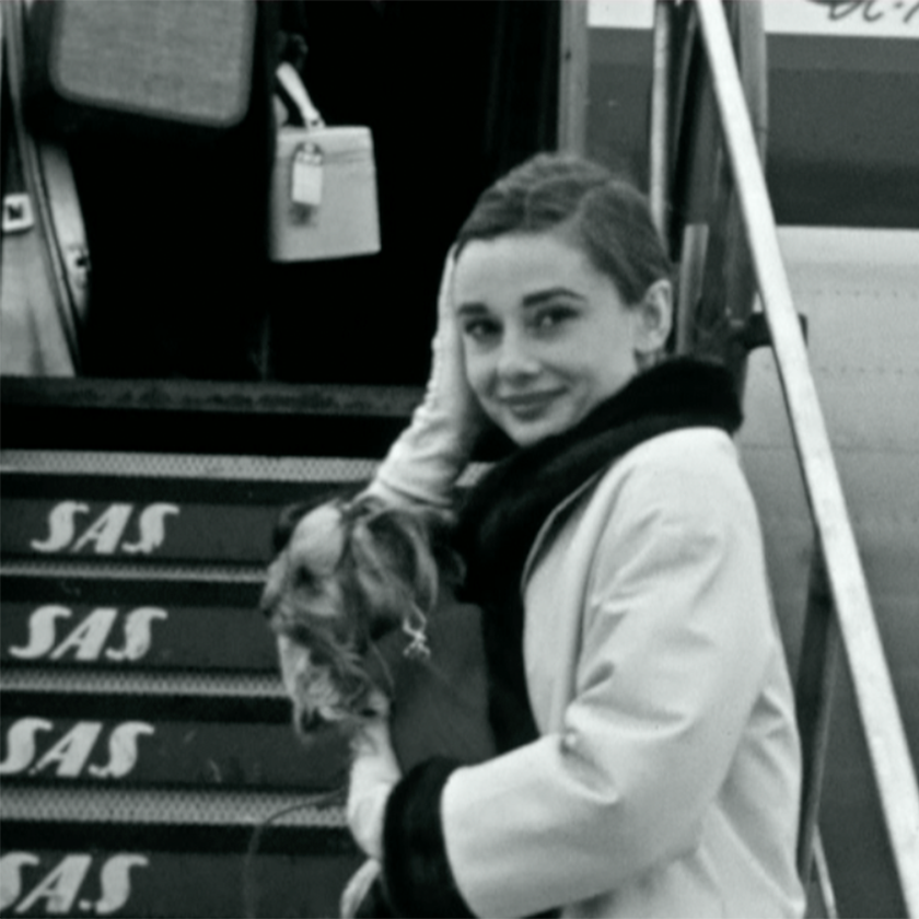 Colum_SAS historie_NYC_Audrey